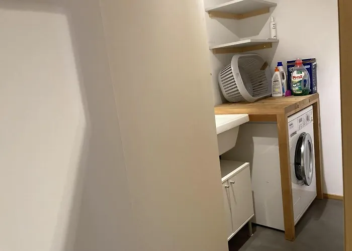 Dorfbrunnu Ried-Brig