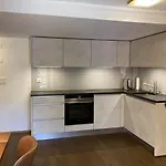Dorfbrunnu Appartement Ried-Brig