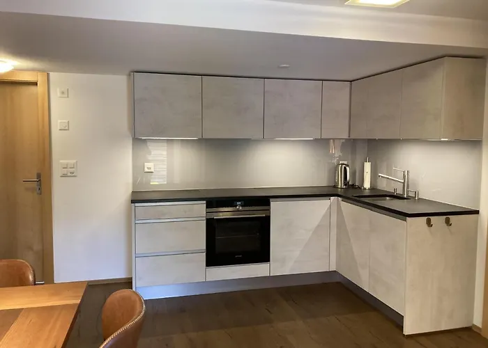 Dorfbrunnu Apartment Ried-Brig